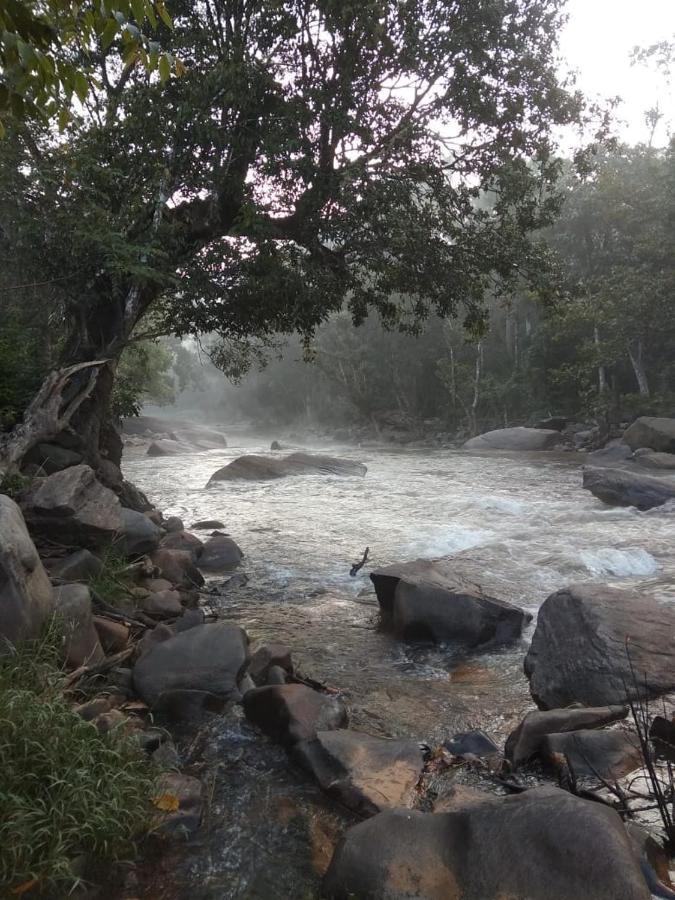 Coorg River Rock