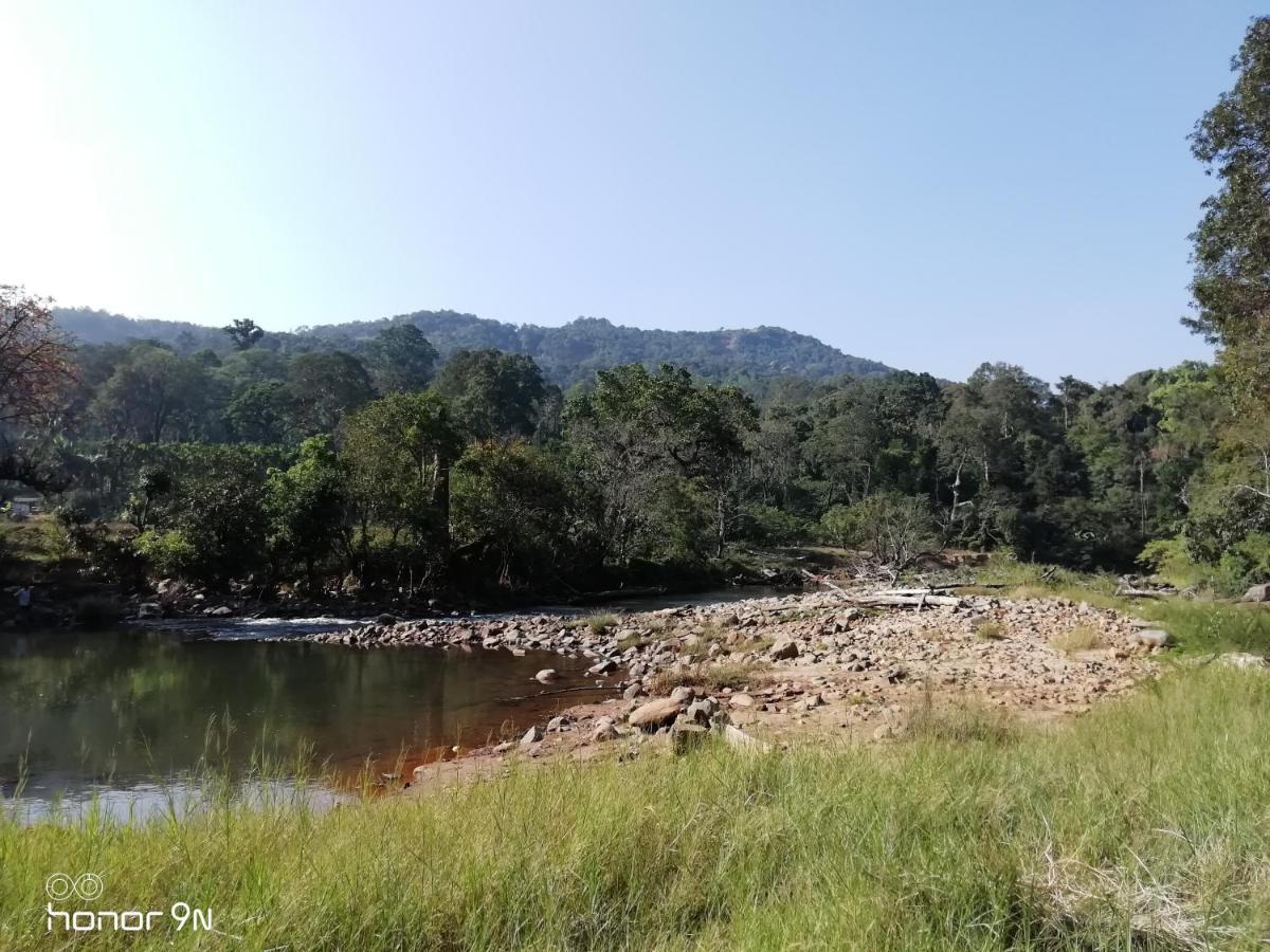 Coorg River Rock