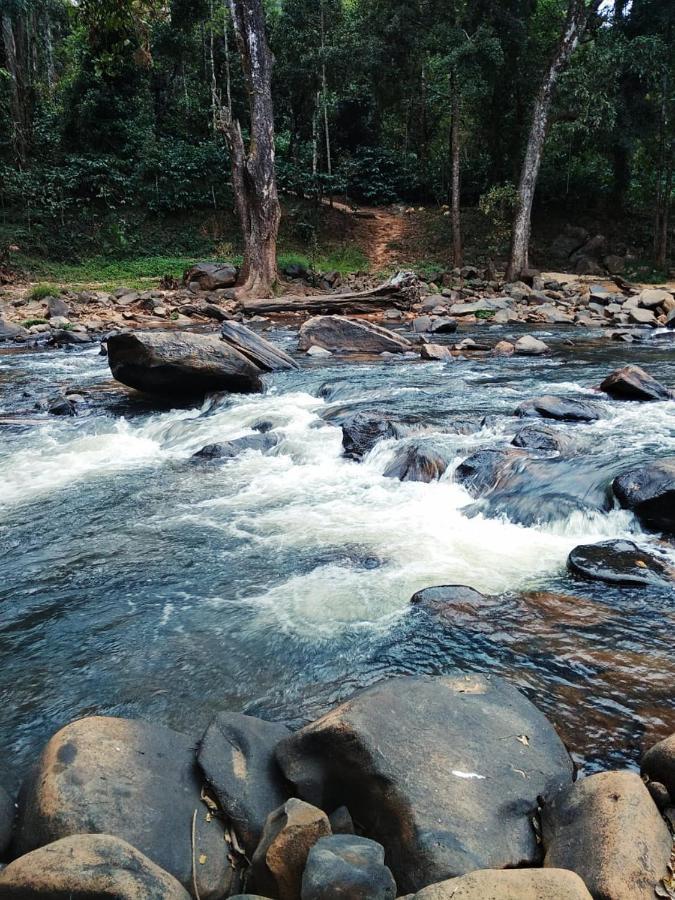 Coorg River Rock