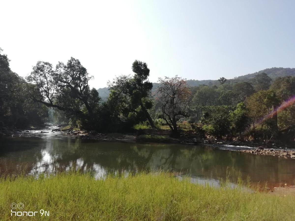 Coorg River Rock Luxury tent Madikeri