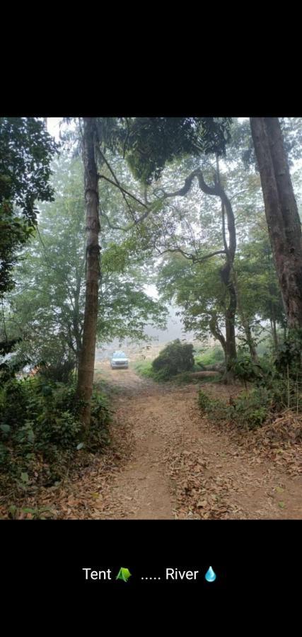 Coorg River Rock * Madikeri