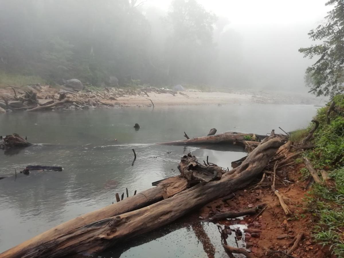 Luxury tent Coorg River Rock *
