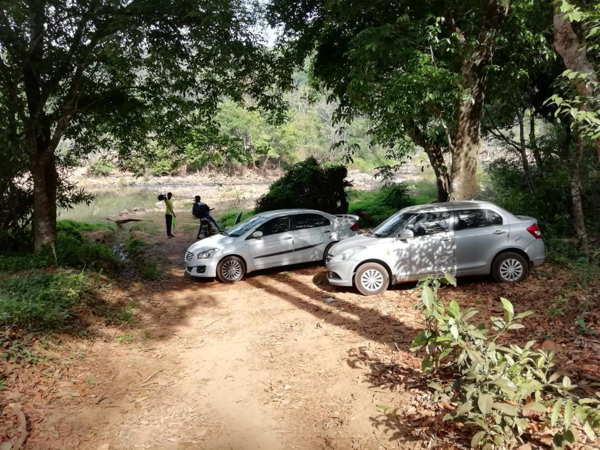 Coorg River Rock