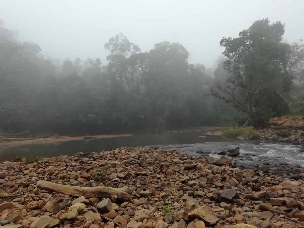 Luxury tent Coorg River Rock *