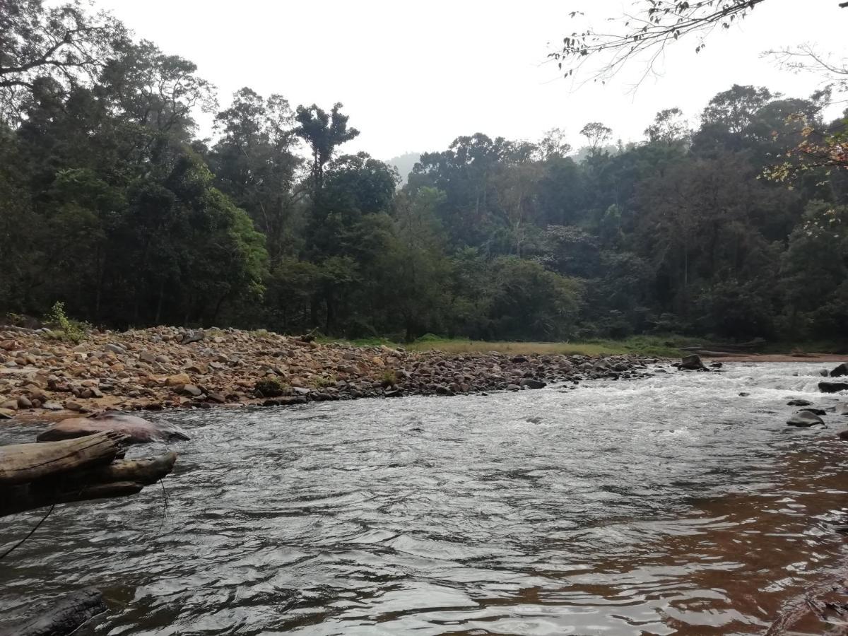 Coorg River Rock Madikeri