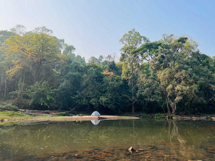 Luxury tent Coorg River Rock