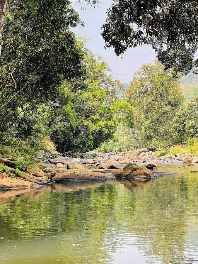 Luxury tent Coorg River Rock