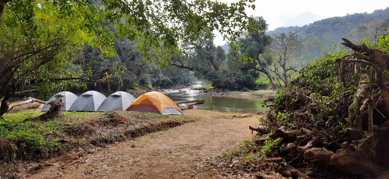 Coorg River Rock * Madikeri