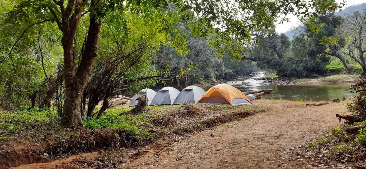 Coorg River Rock Luxury tent *
