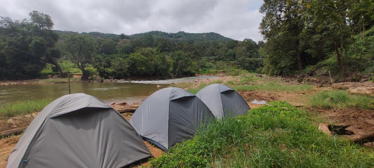Coorg River Rock *