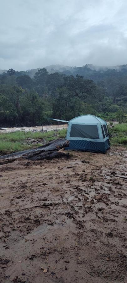Coorg River Rock *