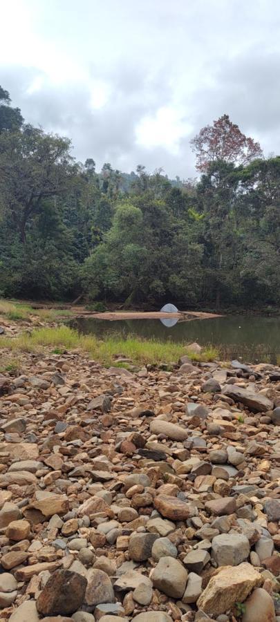 Luxury tent Coorg River Rock
