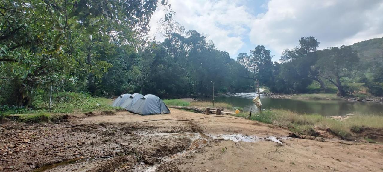 Coorg River Rock Luxury tent