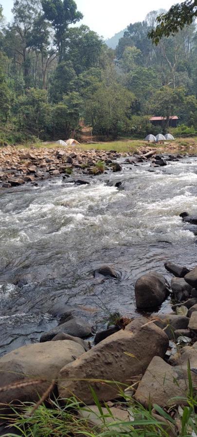 Luxury tent Coorg River Rock *